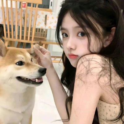 纸房子:全球热潮